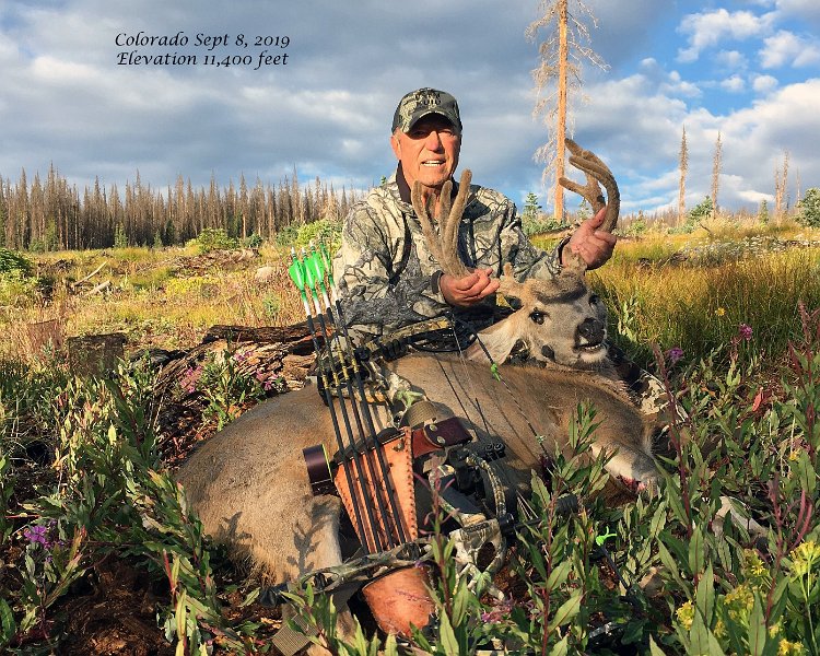 AR19-Dave Corrigan Mule Deer 09-08-2019